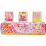BLOOM TRIO