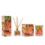 ARTIST SERIES CANDLE + DIFFUSER SET | MEDITERRANEAN FIG